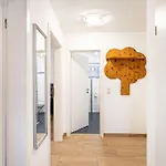 Zur Piste Appartement *